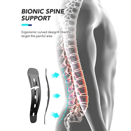 SpineEase™ Lumbar Support